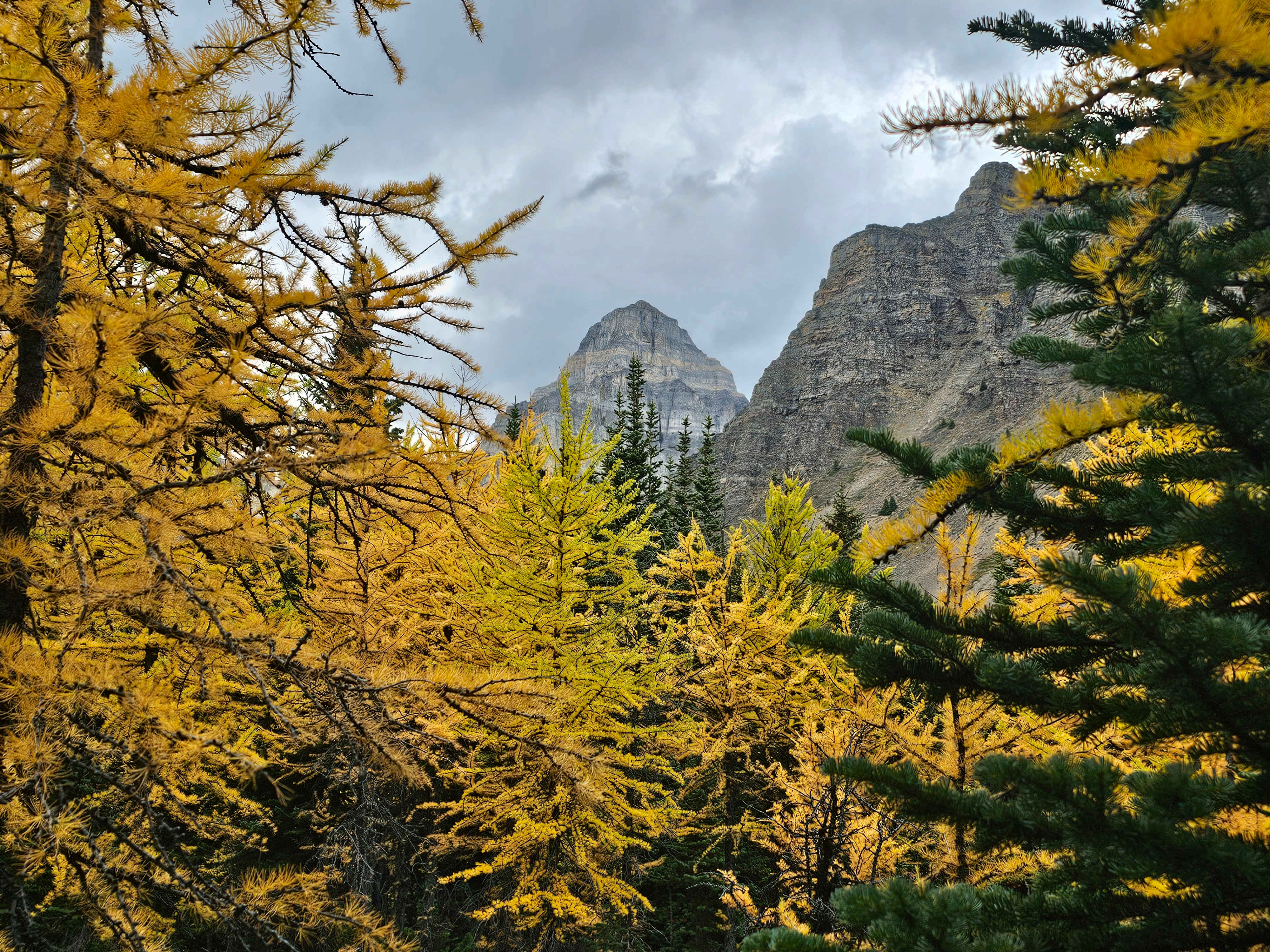 Lake Louise